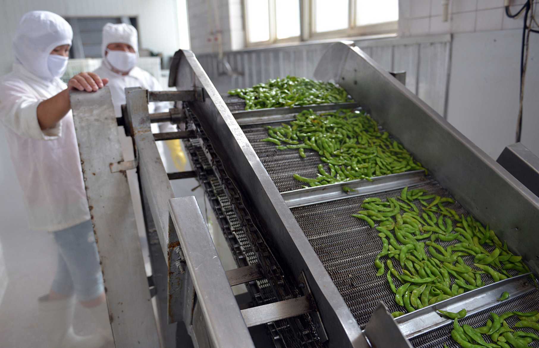 智能凈菜包裝機,引領健康生活潮流——揭秘高效包裝新科技