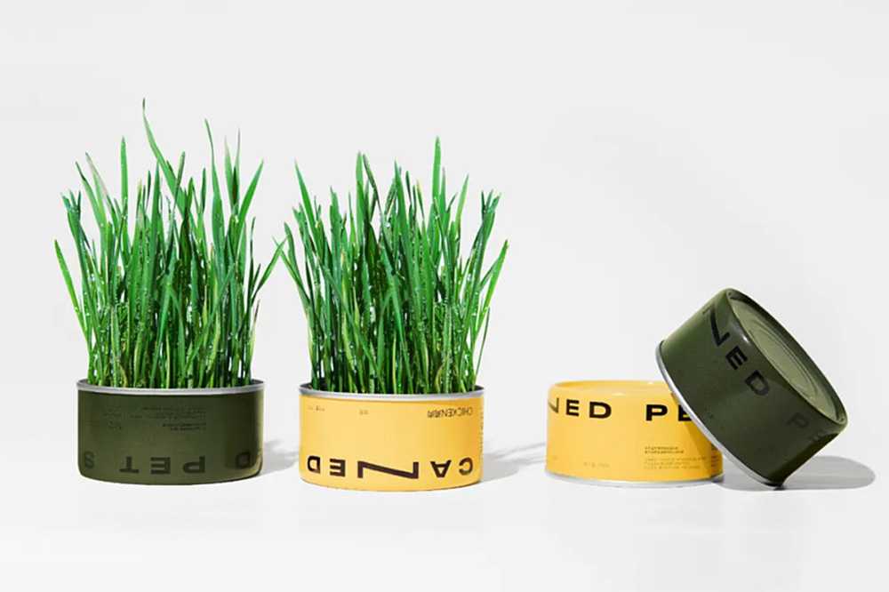 智造綠色活力，賦能高效未來——呂工機械全自動杯裝貓草生產線