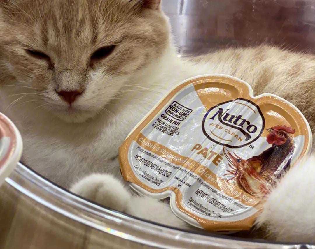 1730095178414035.jpg 貓罐頭01.jpg