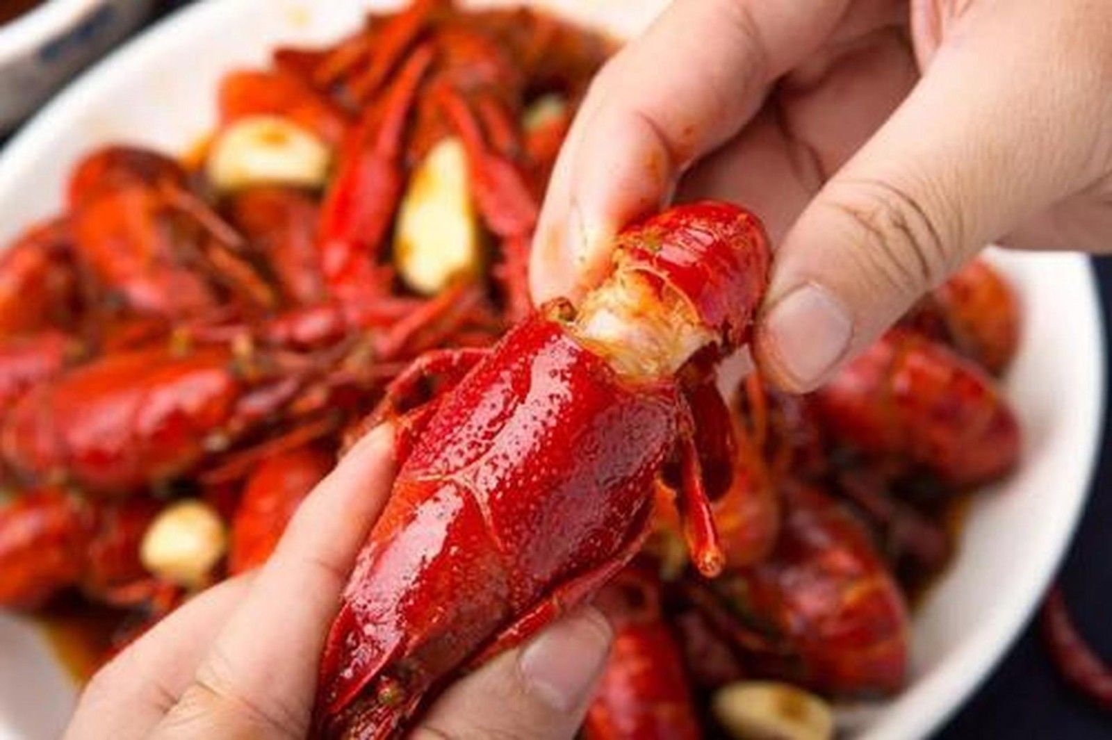 1731735466390289.jpg 小龍蝦01.jpg